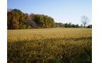 Property photo 2 - 202+/- Acres Offered in 7 Tracts